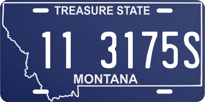 MT license plate 113175S