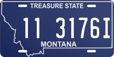MT license plate 113176I