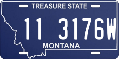 MT license plate 113176W