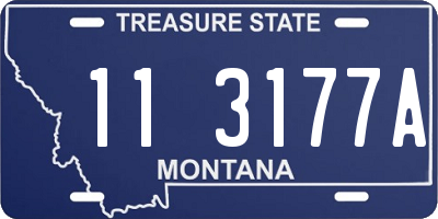 MT license plate 113177A