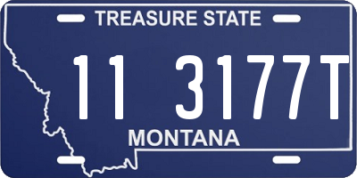 MT license plate 113177T