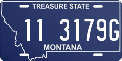MT license plate 113179G
