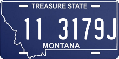 MT license plate 113179J