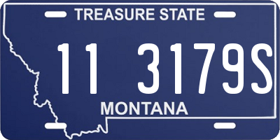 MT license plate 113179S