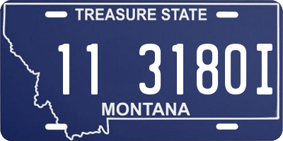 MT license plate 113180I