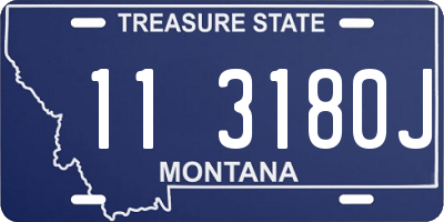 MT license plate 113180J