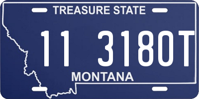 MT license plate 113180T