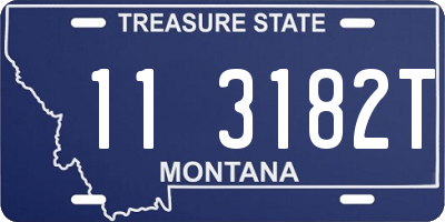 MT license plate 113182T
