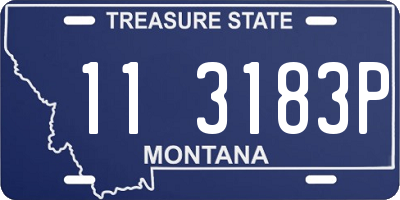 MT license plate 113183P