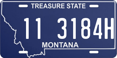 MT license plate 113184H