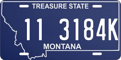 MT license plate 113184K
