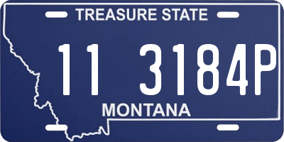 MT license plate 113184P