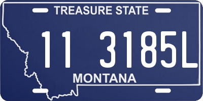 MT license plate 113185L