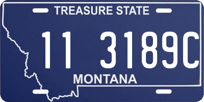 MT license plate 113189C