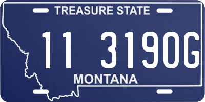 MT license plate 113190G