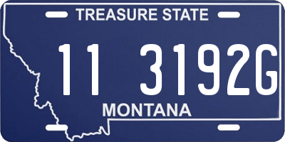 MT license plate 113192G