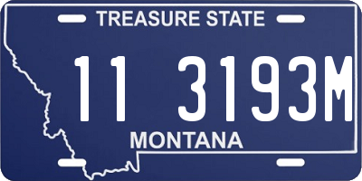 MT license plate 113193M
