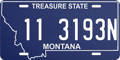 MT license plate 113193N