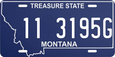 MT license plate 113195G