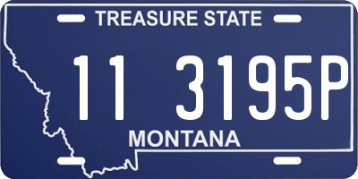 MT license plate 113195P