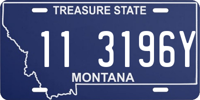 MT license plate 113196Y