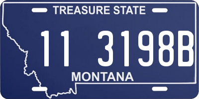 MT license plate 113198B