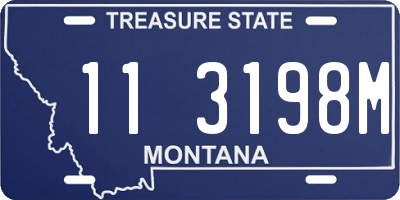 MT license plate 113198M