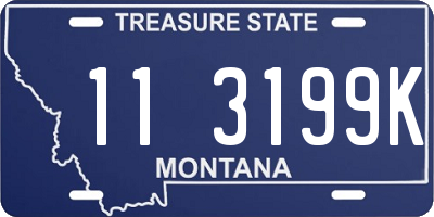 MT license plate 113199K