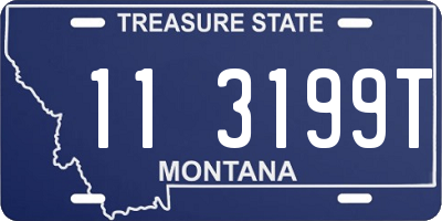 MT license plate 113199T