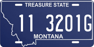 MT license plate 113201G