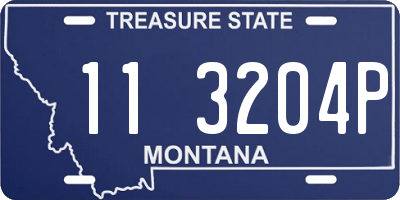 MT license plate 113204P