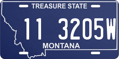 MT license plate 113205W