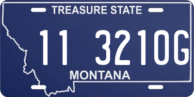 MT license plate 113210G