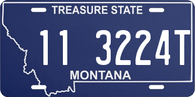 MT license plate 113224T