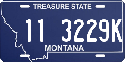 MT license plate 113229K
