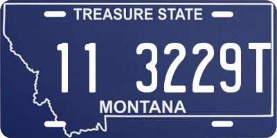MT license plate 113229T