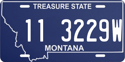 MT license plate 113229W