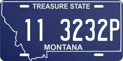 MT license plate 113232P
