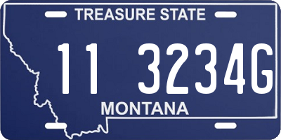 MT license plate 113234G