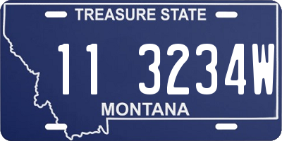 MT license plate 113234W