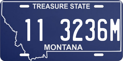 MT license plate 113236M