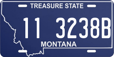 MT license plate 113238B