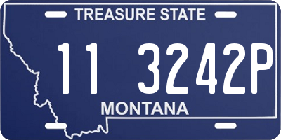 MT license plate 113242P