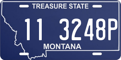 MT license plate 113248P
