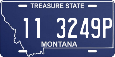 MT license plate 113249P