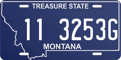 MT license plate 113253G