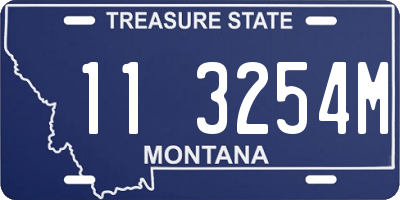 MT license plate 113254M