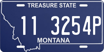 MT license plate 113254P