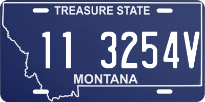 MT license plate 113254V