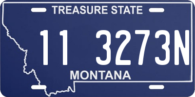 MT license plate 113273N